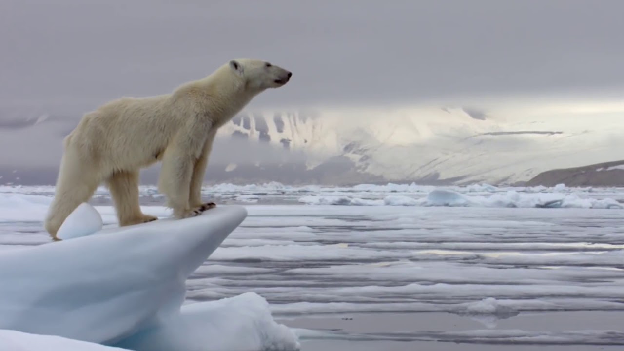 A message from Corona in Hindi