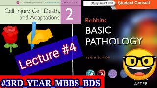 Download Lagu Pathology lectures. #4. cell Injury, cell adaptations, cell death. 🛑 #hypoxia Thumbnail