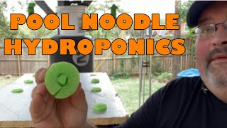 Poole Noodle Hydroponics. My Kratky Setup.