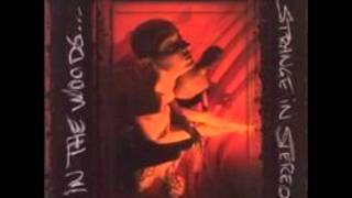 in the woods - closing in