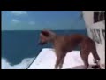 Zeus And Roxanne Have A Mentos Moment