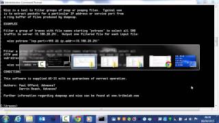 Processing Dumpcap Ring Buffer Files with Wizz