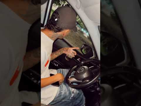 Un amor de locos 🤪😋 - Pirlo YO CANTO LO QUE VIVO 🐭🍓