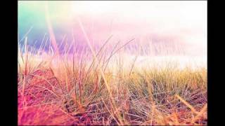 Pushkar - Inner Harvest