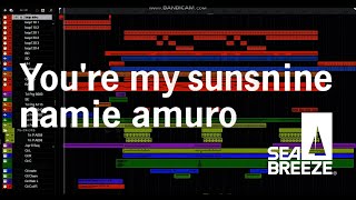安室奈美恵 You&#39;re my sunshine DTM コピー カバー instrumental / 小室哲哉