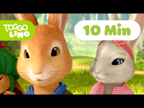 Peter Hase | Die Geschichte vom Radieschenräuber | Ganze Folge | Toggolino Serien