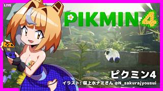 LIVE Pikmin4 22:30 JST - ピクミン4 をあそぶ！#13 #pikmin4 #ピクミン4