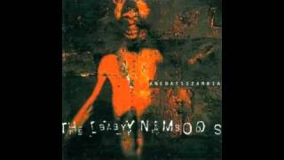 The Baby Namboos - Hard Times (Diesel Boy & Decoder Remix)