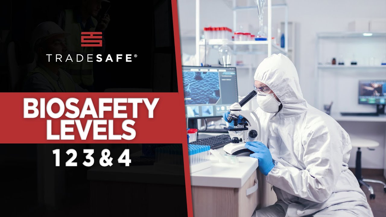 Biosafety Levels Explained: Everything You Need To Know
