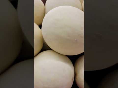 5 surprising benefits of Honeydew Melon you need to know