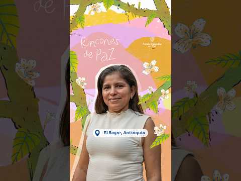Una abejita y la miel, así llegó el progreso a El Bagre | Rincones de Paz