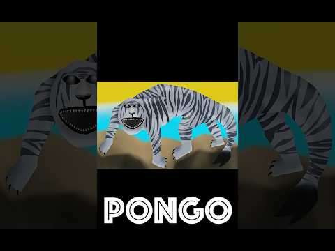 Pongo