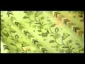 Starsailor Born Again, HQ Audio