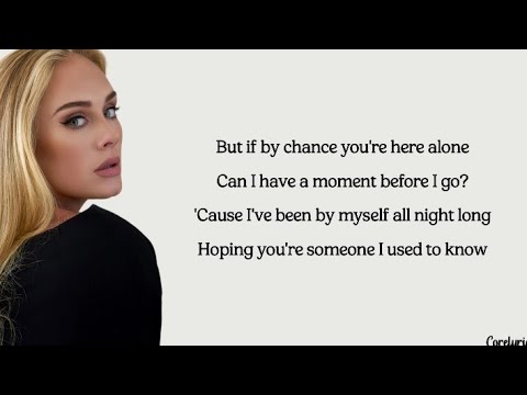 Adele - When We Were Young (lyrics)