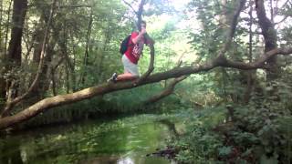 APES. TOGETHER. STRONG.