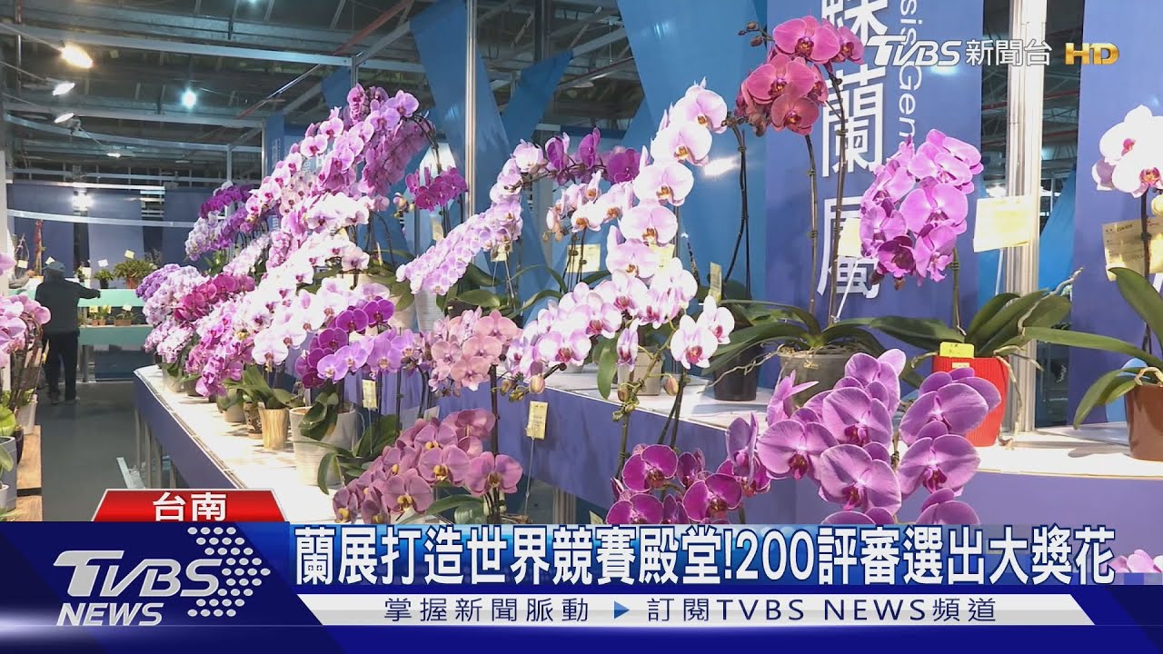 國際蘭展打造世界競賽殿堂！　200位評審選出「大獎花」