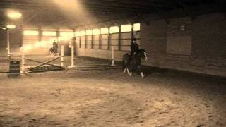 Rascal, Free to embrace today.wmv