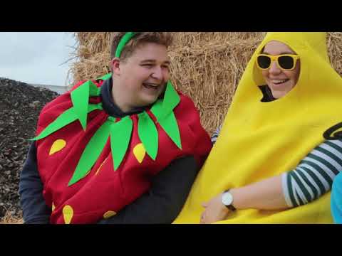 Where does scrambled egg come from?