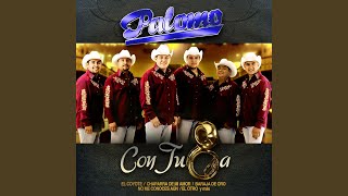 No Me Conoces Aún (Tuba)