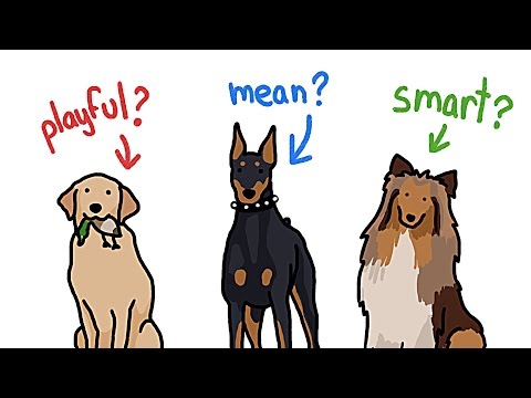 狗是狗，邊牧是邊牧？不同品種的狗狗真的很不一樣嗎？ (How Different Are Different Types of Dogs?)