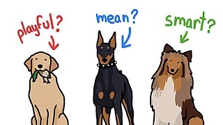 How Different Are Different Types of Dogs?