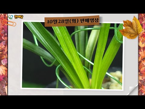 유튜브 썸네일