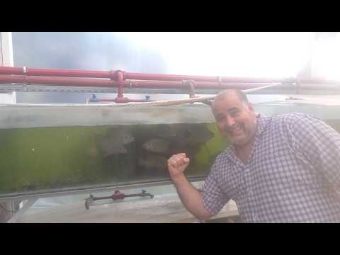 🔴 Diálogo con Gabriel Pollio, referente de Argentina Azul en la Provincia de Buenos Aires