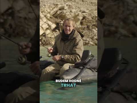 Chytáme mezi obřími stromy