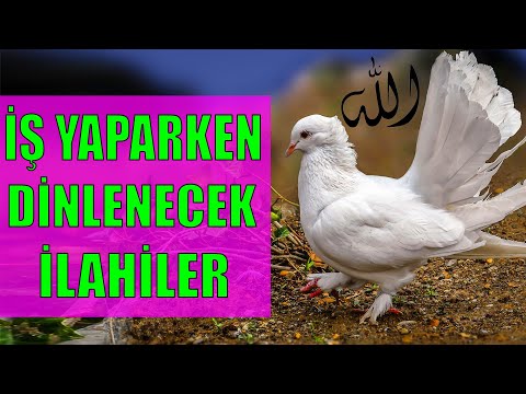 İŞ YAPARKEN DİNLENECEK İLAHİLER 5 🌺 BİR MÜBAREK CUMA GÜNÜ ALLAHIM 🌼 GİDİYORUM MEDİNEYE