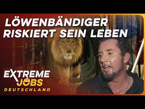 Deutschlands gefährlichste Berufe | Löwenbändiger Martin Lacey | Extreme Jobs