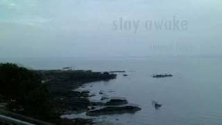 stay awake-ronnie laws