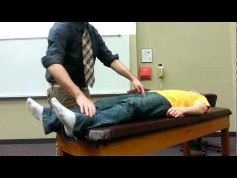 Passive Hip Range of Motion