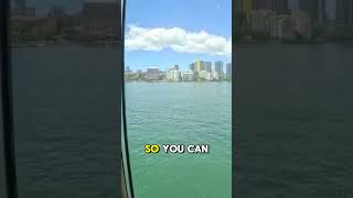 Which Bar Has the Best View on The Westerdam? #shorts #cruise