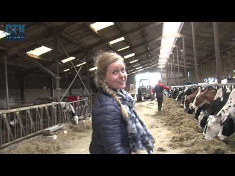 , title : 'C-TV: Bevruchting van koe bij melkveehouderij Veldt'
