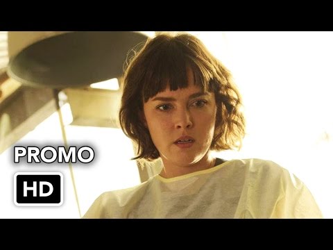 Incorporated 1.08 (Preview)