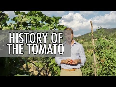 download lagu mp3 mp4 Italian Food Before Tomatoes, download lagu Italian Food Before Tomatoes gratis, unduh video klip Italian Food Before Tomatoes