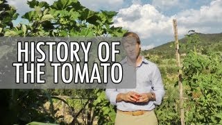 preview picture of video 'History of the Tomato - in an Umbrian garden with Walks of Italy'