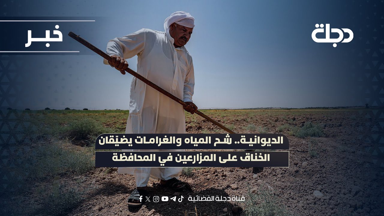 فيديو | الديوانية.. شح المياه والغرامات يضيّقان الخناق على المزارعين في المحافظة