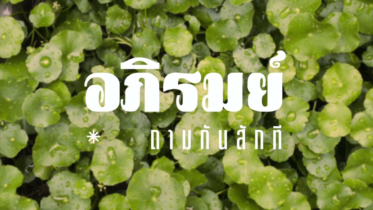 เนื้อเพลง ถามกันสักที อภิรมย์