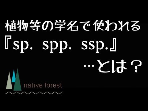 国際植物命名規約 - 定義