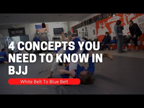 The 4 Main Concepts Of BJJ You Need To Know | White Belt to Blue Belt