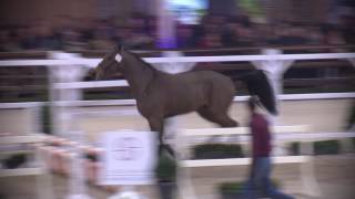 45 ORBIT THE HOMAGE (QUINT VH MAARLO Z x CAESAR VAN DE HELLE)