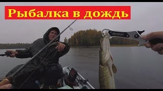 Клюет ли в дождь рыба осенью