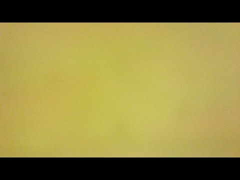 16.1.2021 (08 pojat) SBL - VARTA