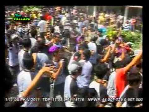 download lagu mp3 mp4 New Pallapa Campursari Cidro Lilin Herlina, download lagu New Pallapa Campursari Cidro Lilin Herlina gratis, unduh video klip New Pallapa Campursari Cidro Lilin Herlina