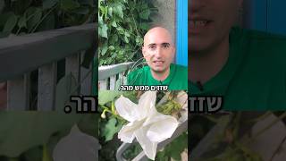 הפרחים שנפתחים תוך שניות!