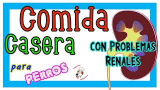 ⏩Comida CASERA para PERROS con Problemas RENALES o Insuficiencia Renal