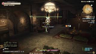 ＦＦ１４　紅蓮スタート(無言配信)