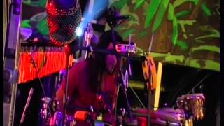 "Jah Will Be Done" - Ziggy Marley | Live at Rototom in Benicassim, Spain (2011)