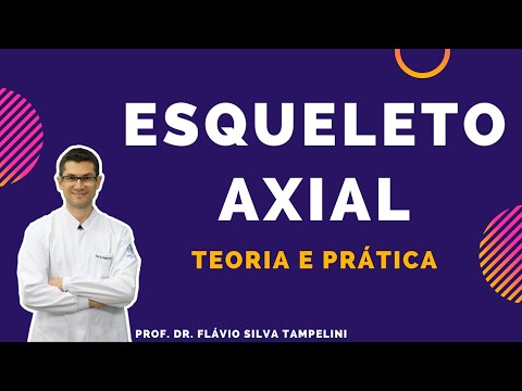 Esqueleto Axial: Teoria e Prática (Sistema Esquelético)